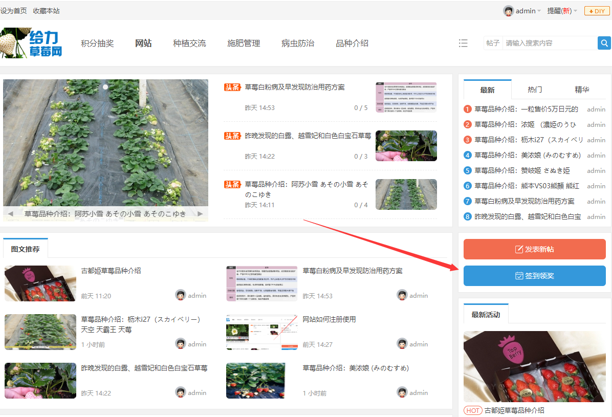 给力草莓网